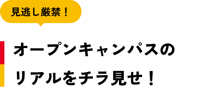 オープンキャンパスのリアルをチラ見せ！
