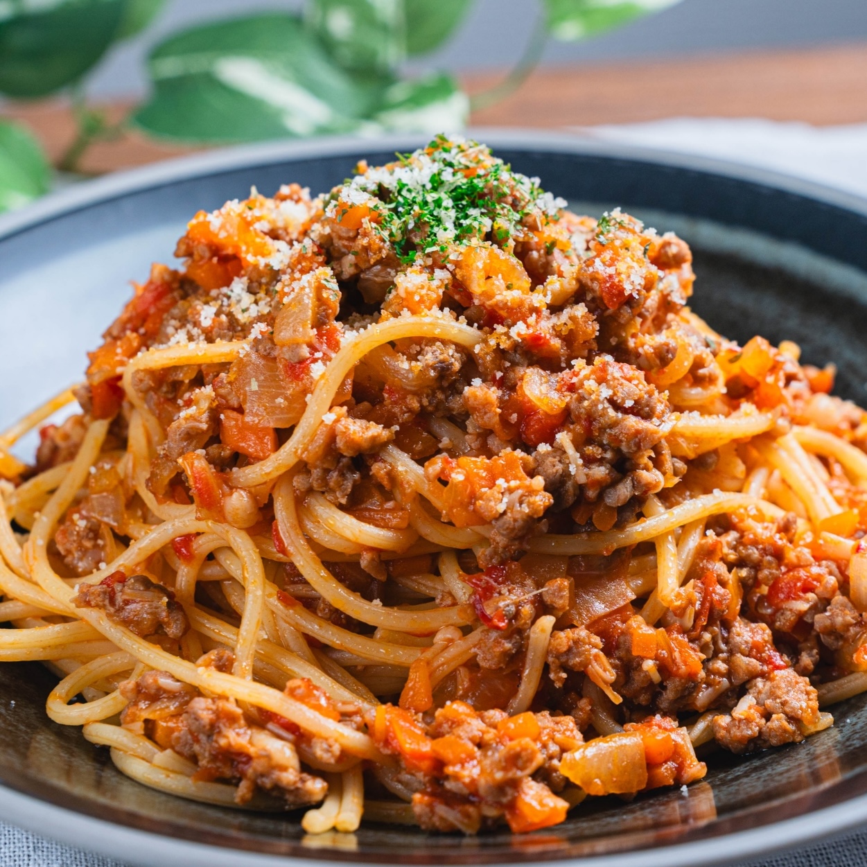 TY 5/6 【西洋】ボロネーゼ