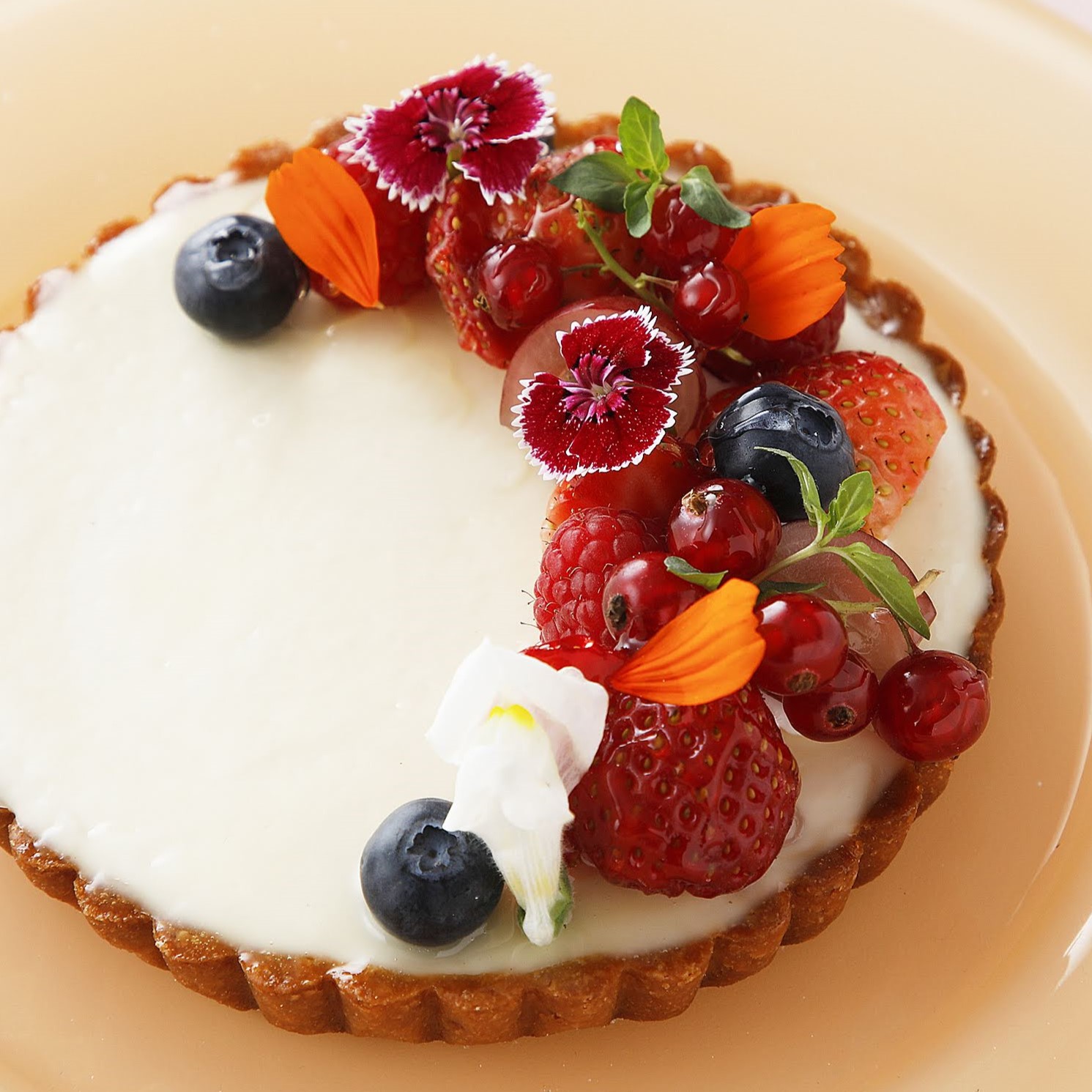 TY 5/10 【製菓】空気のような口溶け。「雲の上のレアチーズ」